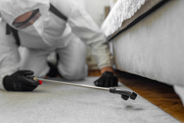 Professional Cockroach Control technician working in Wakefield, KS