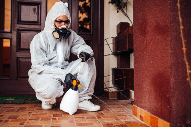 Reliable Cockroach Control contractor in Wakefield, KS by Nex Pest Control